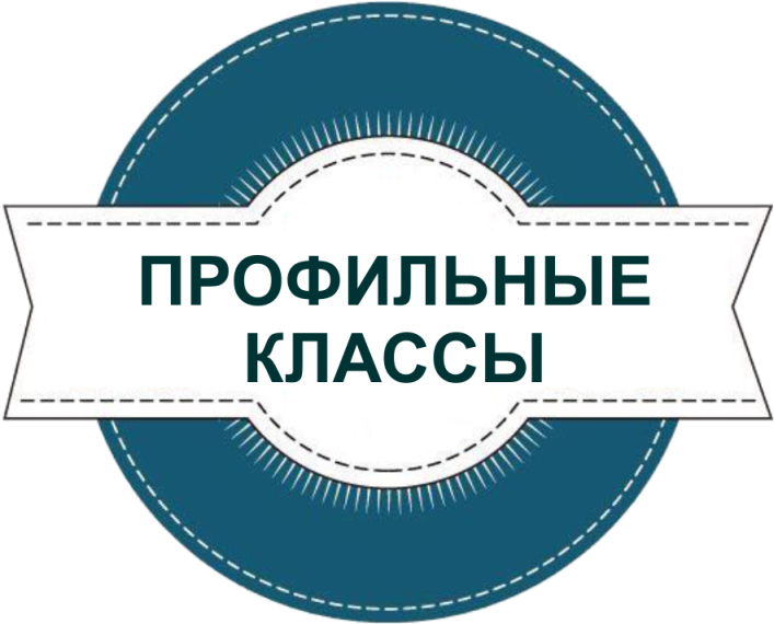 Информация для поступающих в профильные классы.